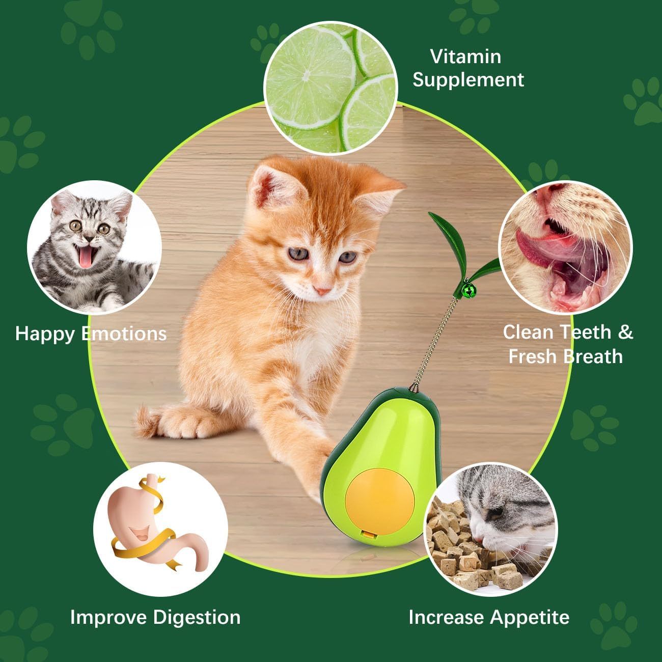 Catnip Feeder Cat Toy