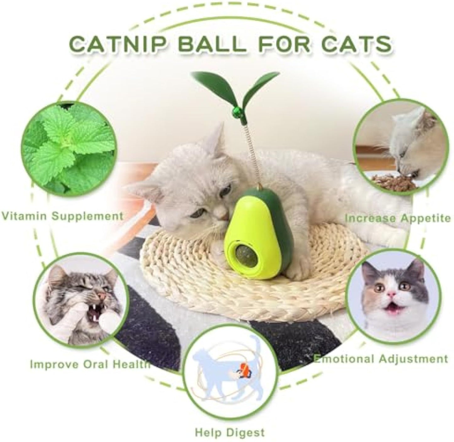 Catnip Feeder Cat Toy