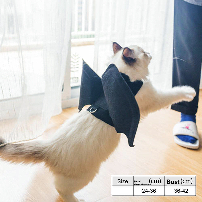 Halloween Pet Pumpkin