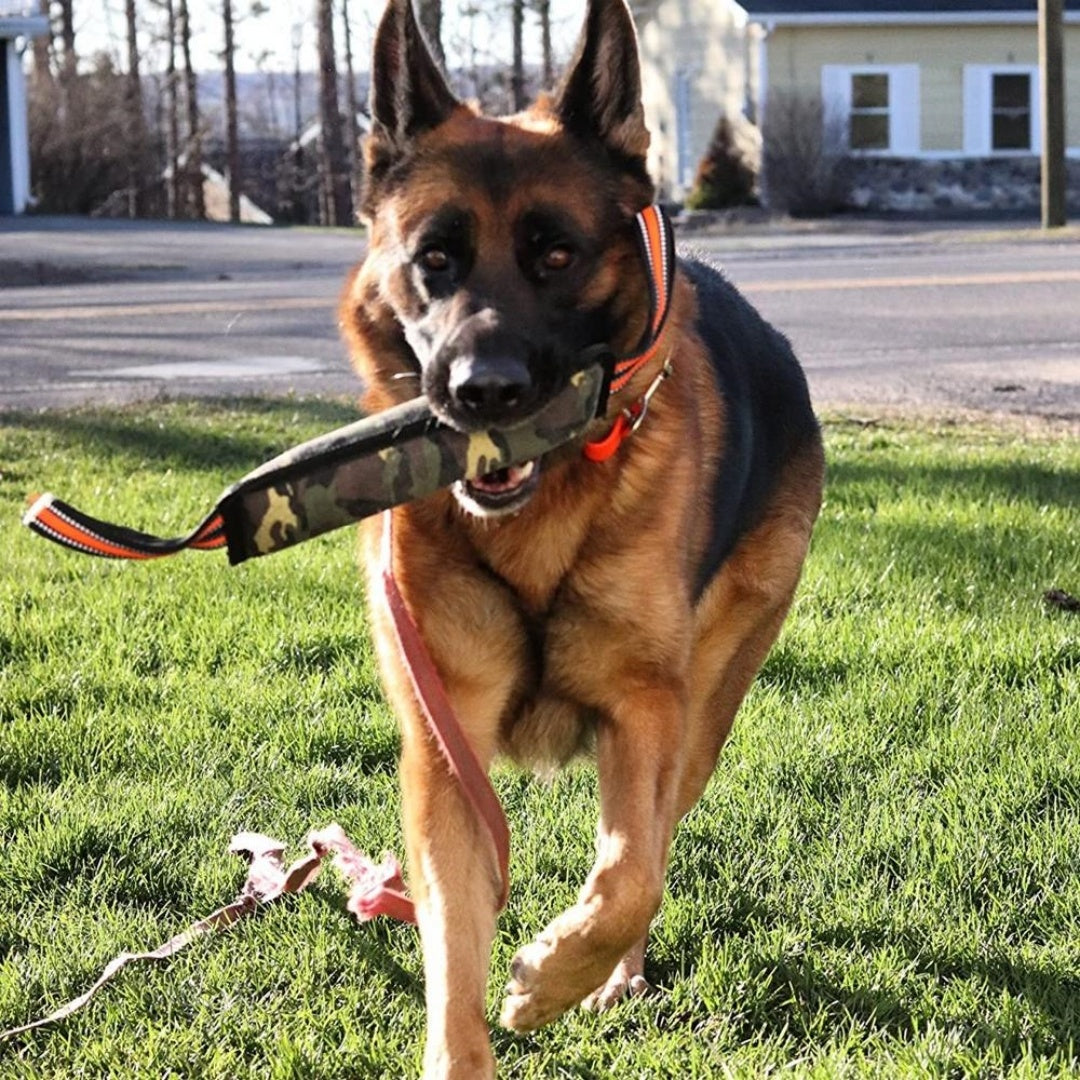 Reflective Dog Training Bite Stick