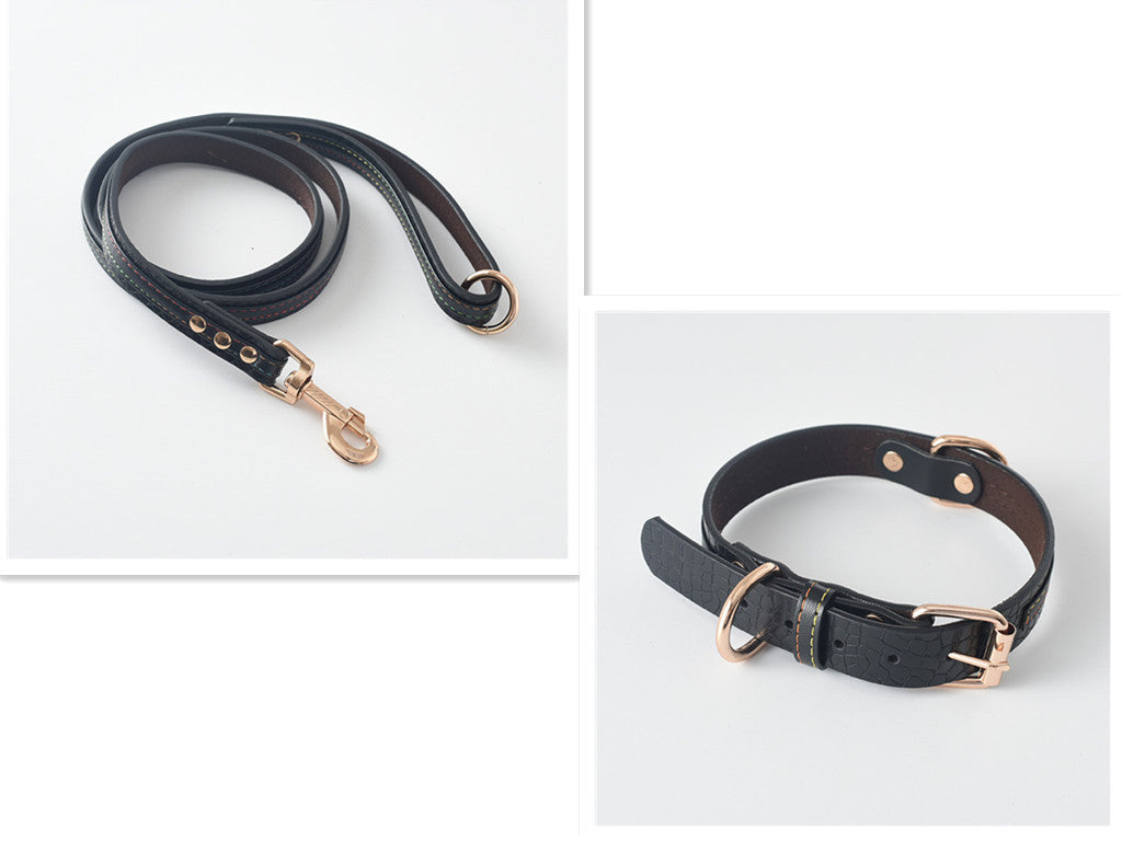 Pet Leash / Dog Collar