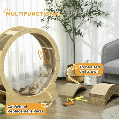 Cat Wheel Scratching