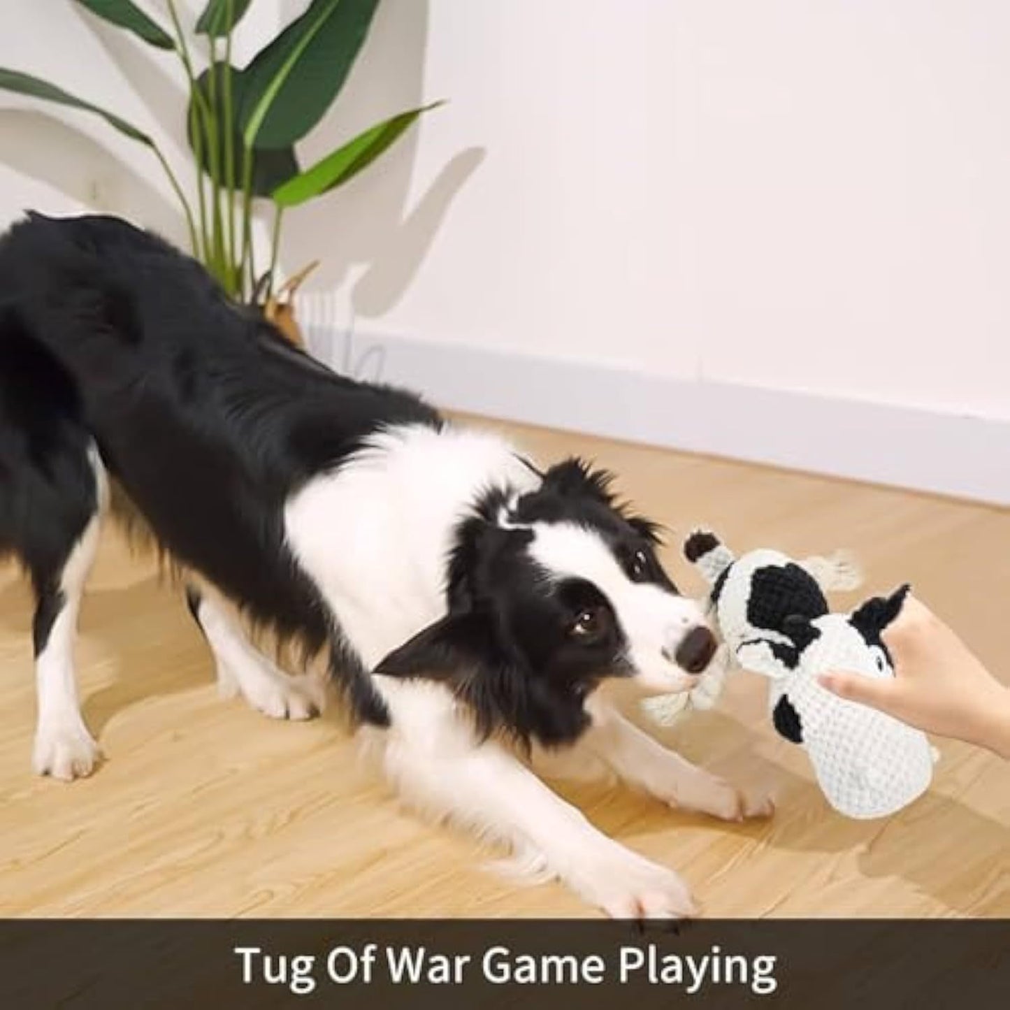 Squeaky Dog Toys Dog Plush,Stuffed Animals Chew, Durable Cow Dog Toy.