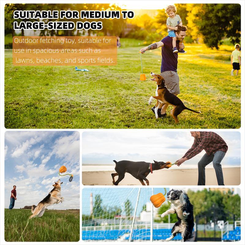 Dog Rope Fetch Exercise Large Aggressive Chewers