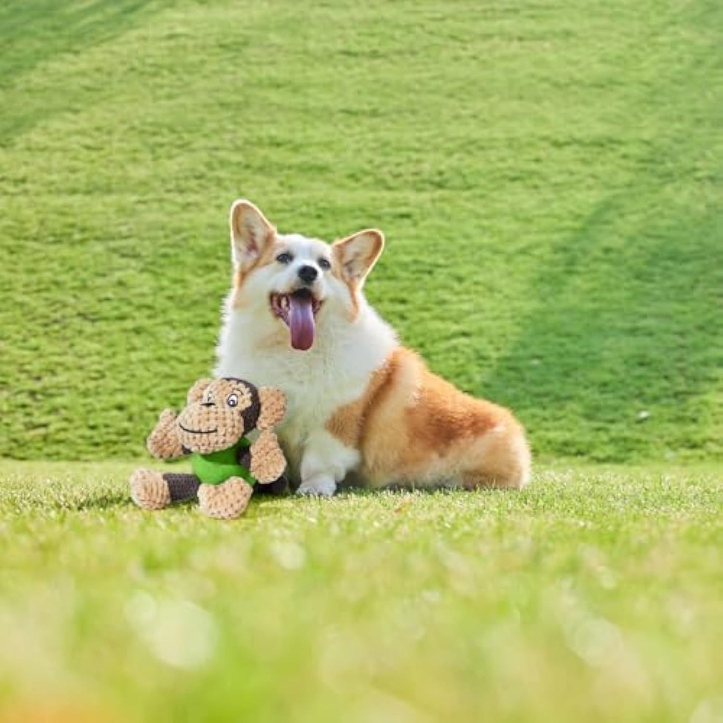 Dog Toys Cute Stuffed Animal