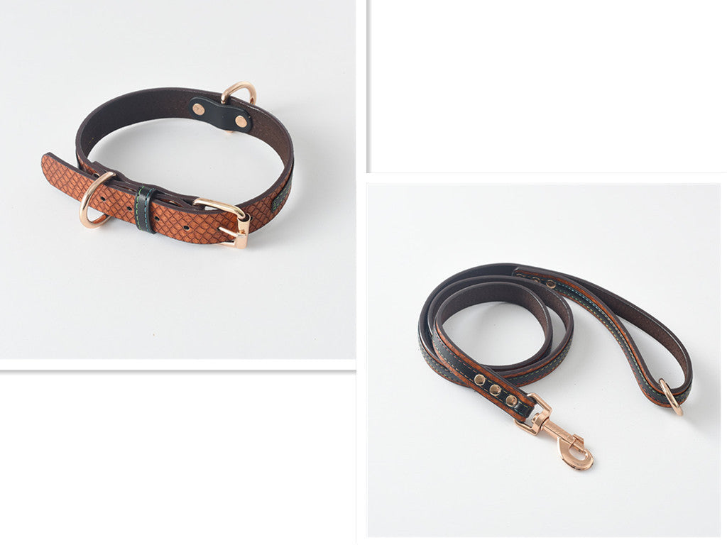 Pet Leash / Dog Collar