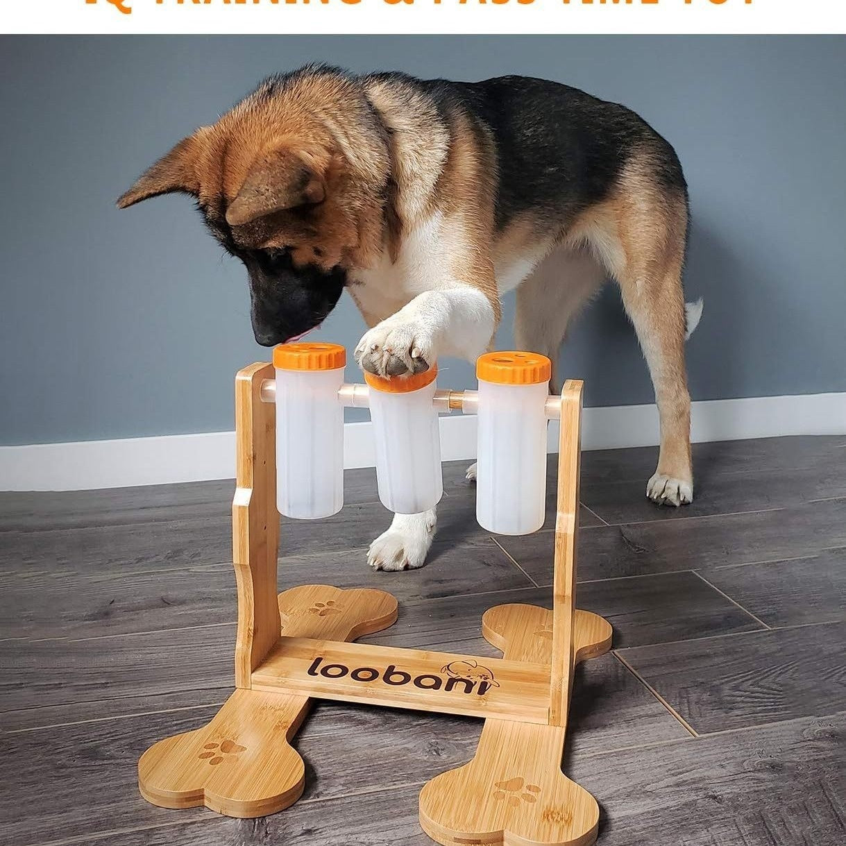 Dog Toy Wooden Puzzle