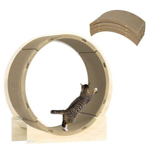 Cat Wheel Scratching
