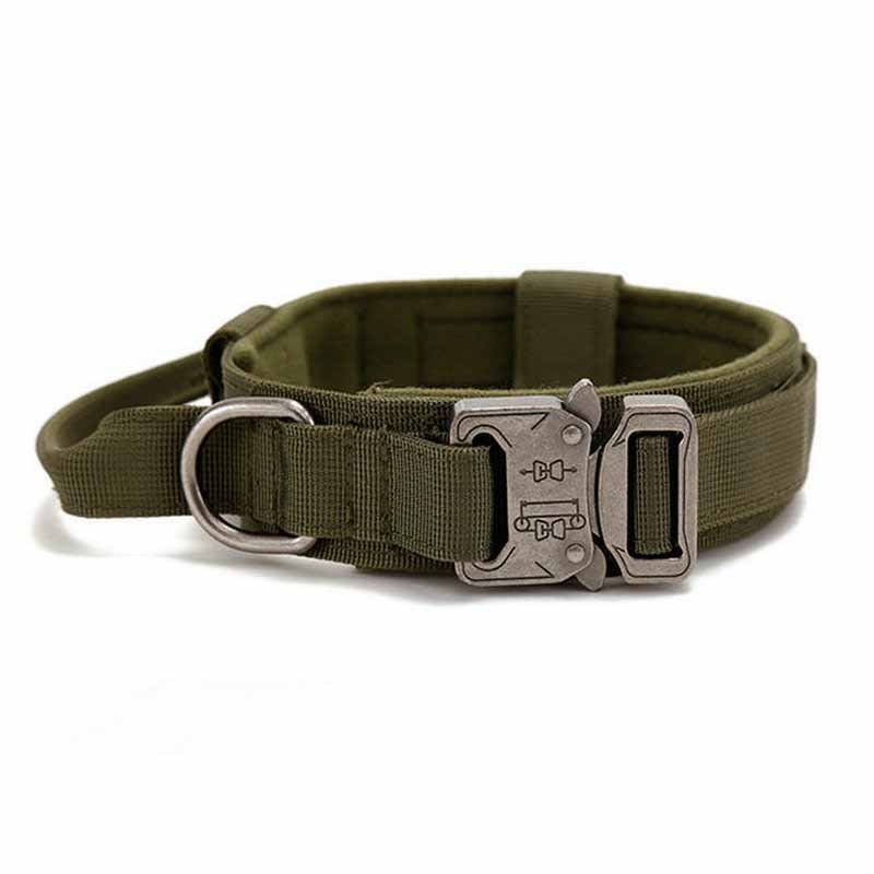 Simple Solid Color Outdoor Traction Pet Collar