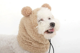 Adjustable Cat Hat Thermal And Windproof