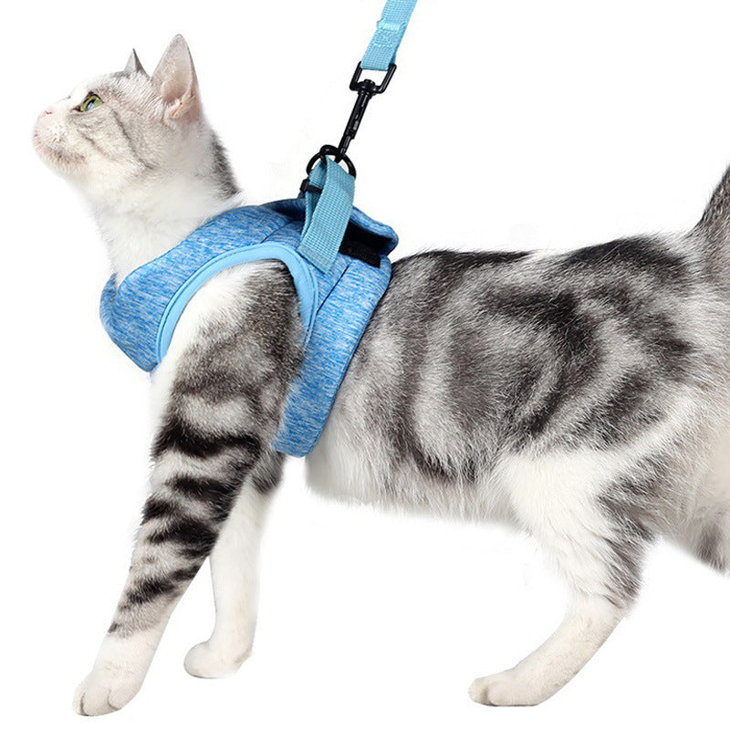 Cat Traction Light Chest Strap