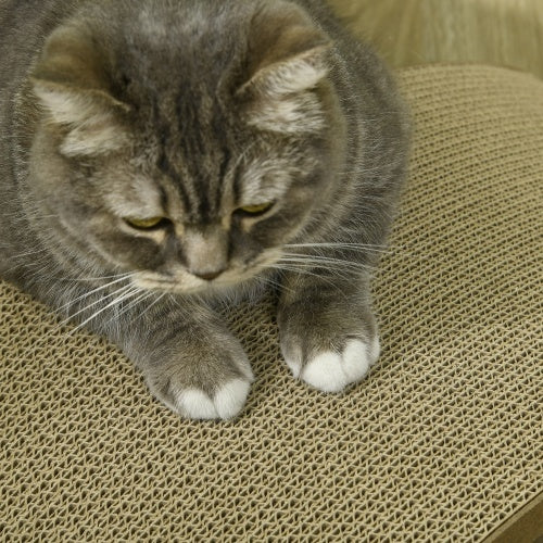 Cat Wheel Scratching