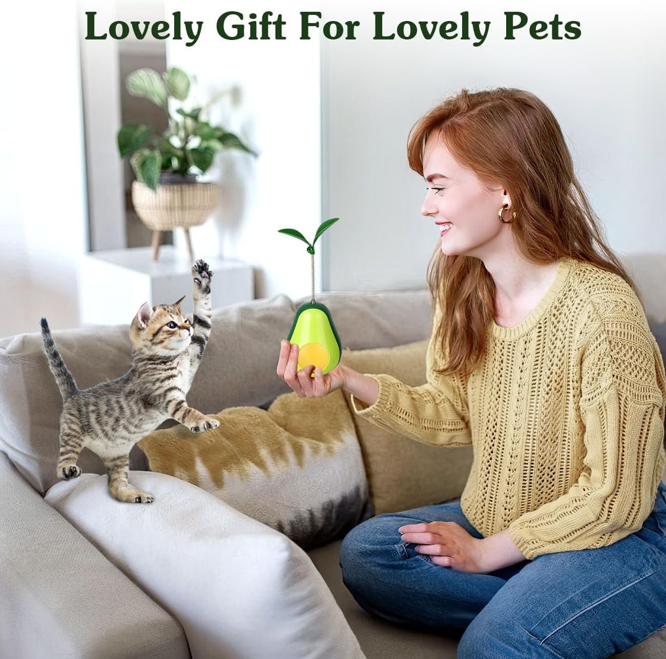 Catnip Feeder Cat Toy