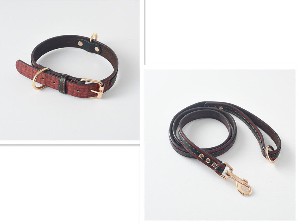 Pet Leash / Dog Collar