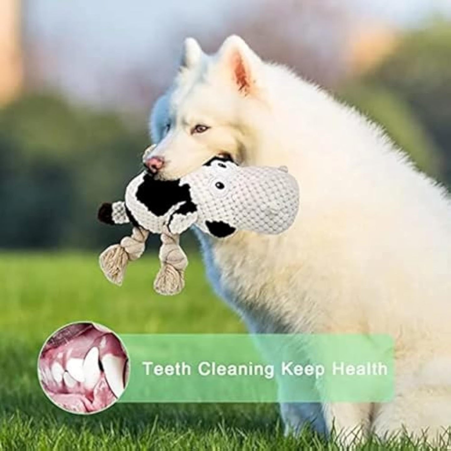 Squeaky Dog Toys Dog Plush,Stuffed Animals Chew, Durable Cow Dog Toy.