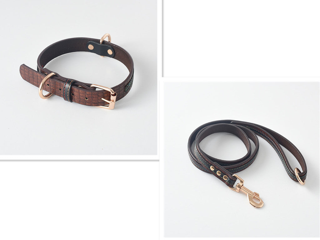 Pet Leash / Dog Collar