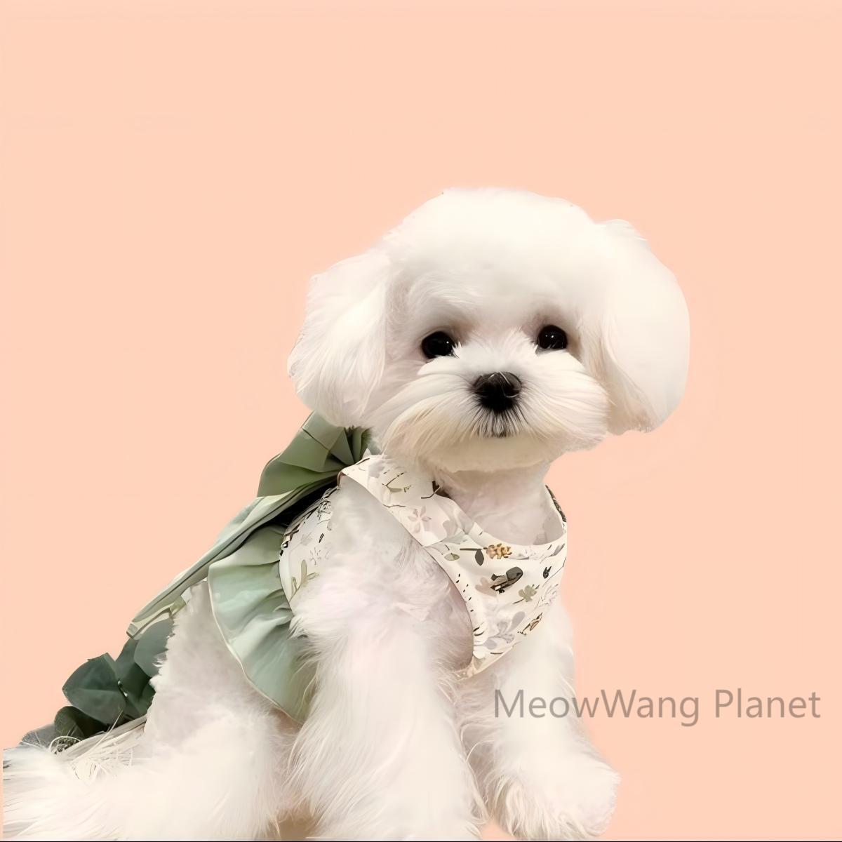 Pet Harness Leash Set Elegant Adjustable Half Vest Design For Cats and Small Dogs.