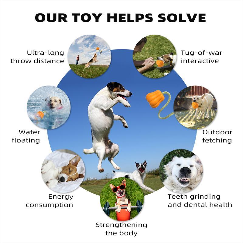 Dog Rope Fetch Exercise Large Aggressive Chewers