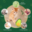 Catnip Feeder Cat Toy