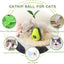 Catnip Feeder Cat Toy