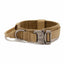 Simple Solid Color Outdoor Traction Pet Collar