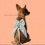 Pet Harness Leash Set Elegant Adjustable Half Vest Design For Cats and Small Dogs.