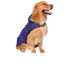 Clothes big dog reflective raincoat