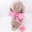 Angel Pink Dog Vest – Breathable.