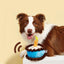 Bite-resistant Birthday Cake Toy