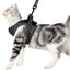Cat Traction Light Chest Strap