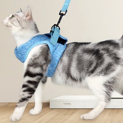 Cat Traction Light Chest Strap