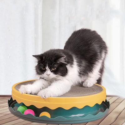 Compass Cat Scratching