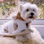 Special Blanket For Dog Warmth Artifact Cloak