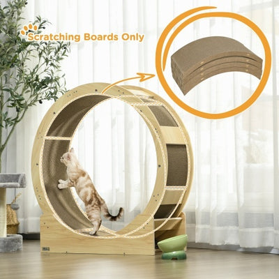 Cat Wheel Scratching
