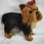 Simulation Yorkshire Animal Ornaments Plush Toys.