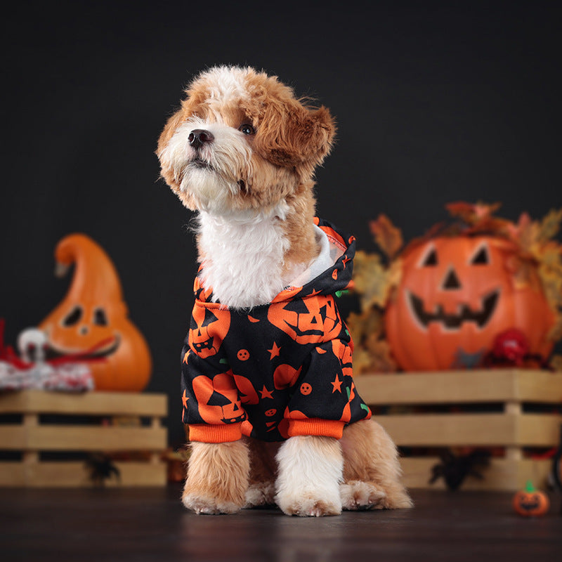 Halloween Pet Clothes Dog Cat Pumpkin Sweater