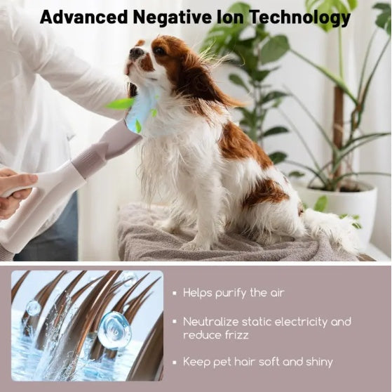 Dog and Cat Hair Blower with Negative Ion Function and Adjustable Temperature.