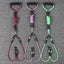 Double Pet Leash Anti-Winding
