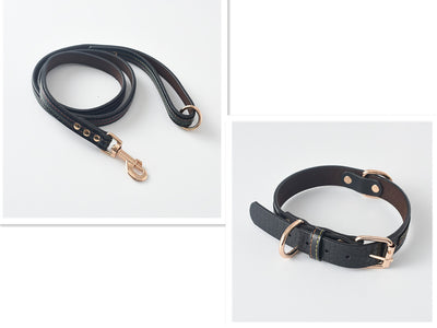 Pet Leash / Dog Collar