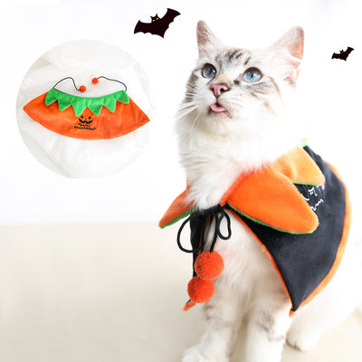 Halloween Pet Pumpkin