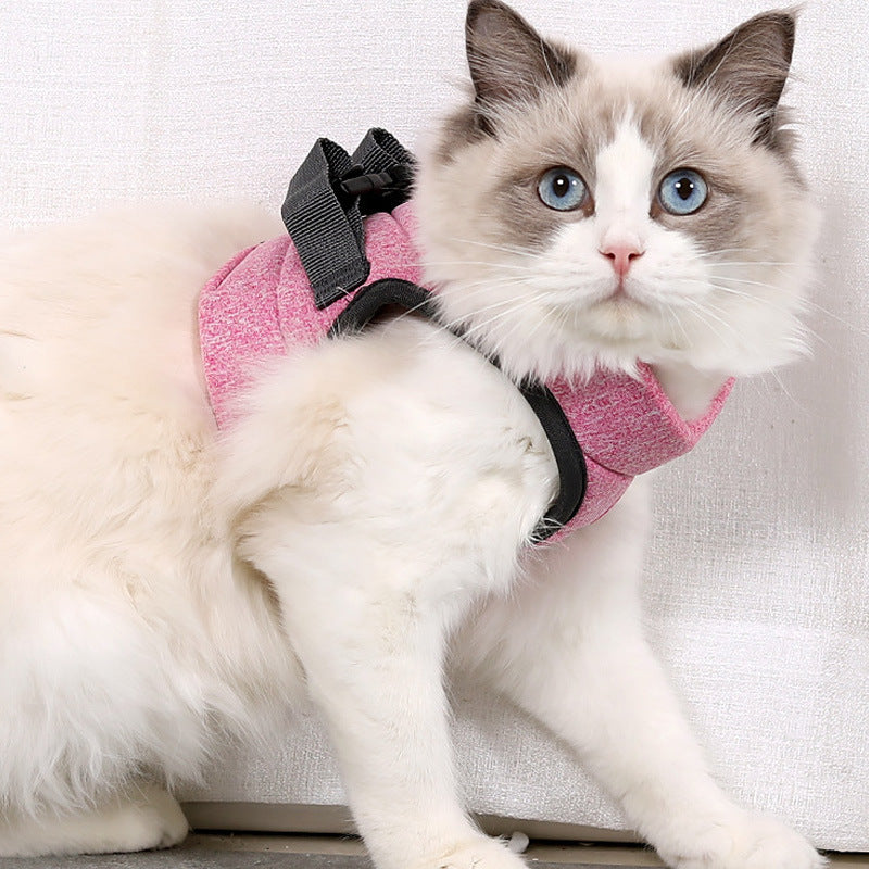 Cat Traction Light Chest Strap