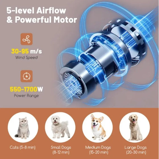 Dog and Cat Hair Blower with Negative Ion Function and Adjustable Temperature.