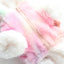 Dog Clothes Autumn And Winter