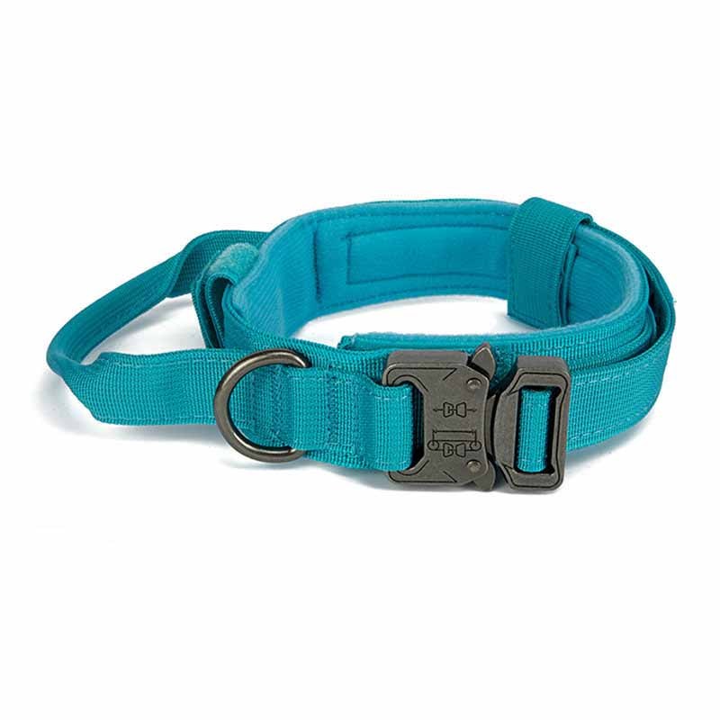 Simple Solid Color Outdoor Traction Pet Collar