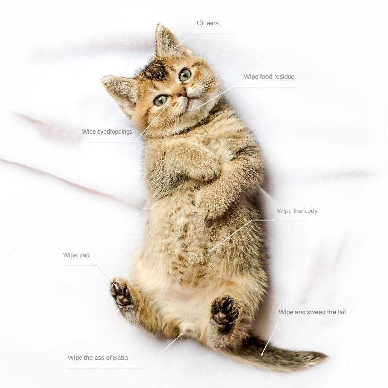 Pet Cleaning Gloves for Dogs and Cats