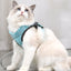 Cat Traction Light Chest Strap