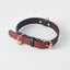 Pet Leash / Dog Collar