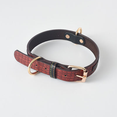 Pet Leash / Dog Collar