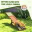 Wooden Dog Agility Seesaw for Training and Exercise, Weather Resistant.