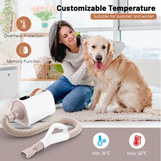 Dog and Cat Hair Blower with Negative Ion Function and Adjustable Temperature.